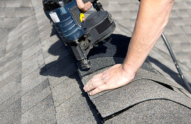 Best Roof Moss and Algae Removal  in Empire, CA